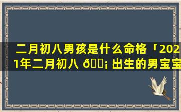 二月初八男孩是什么命格「2021年二月初八 🐡 出生的男宝宝好不好」